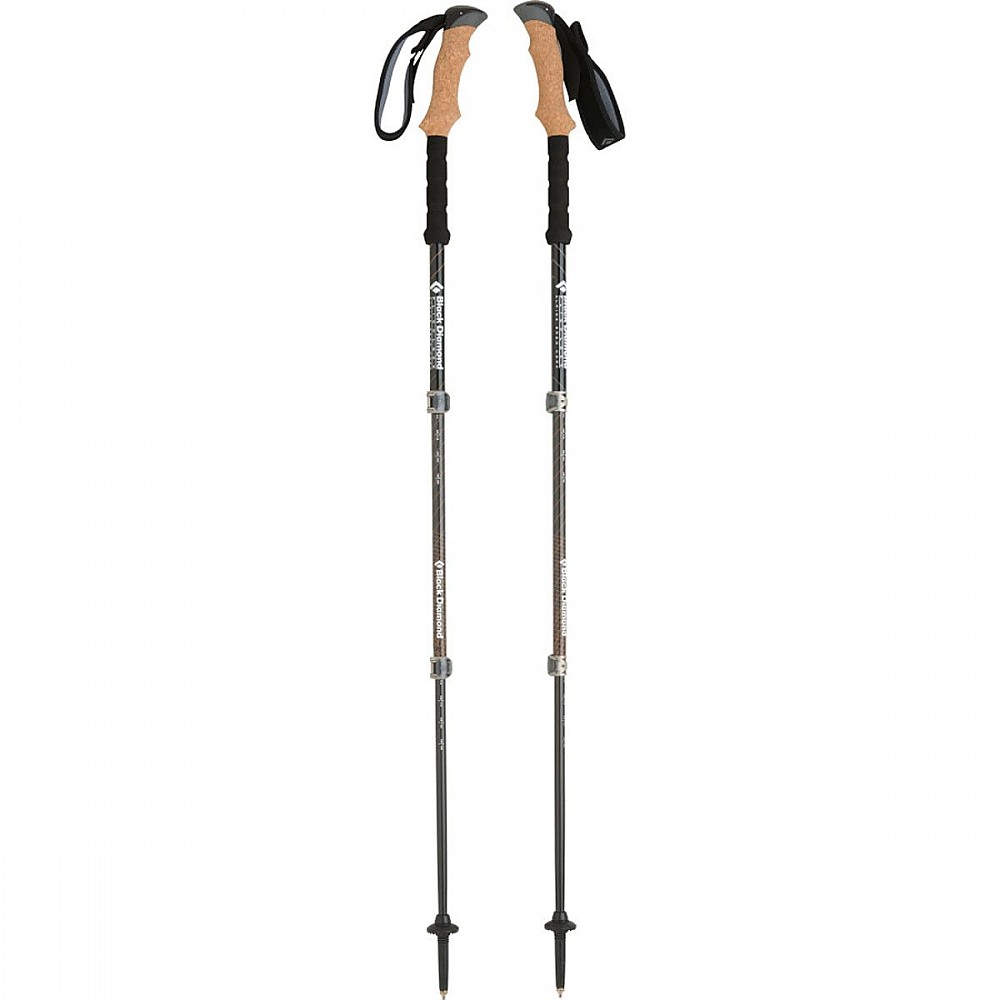 photo: Black Diamond Alpine Ergo Cork rigid trekking pole