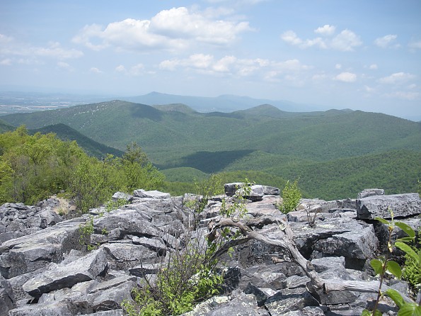 DSCN2758.jpg