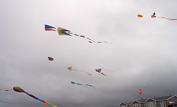 100_0457.jpg