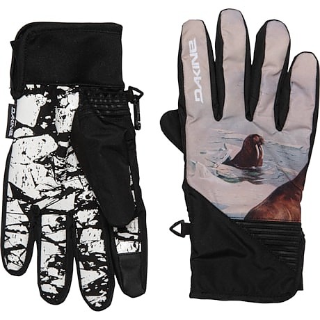 photo: DaKine Crossfire Glove insulated glove/mitten