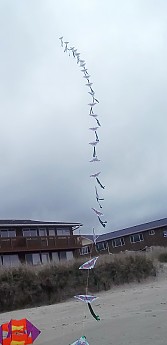 100_0462.jpg
