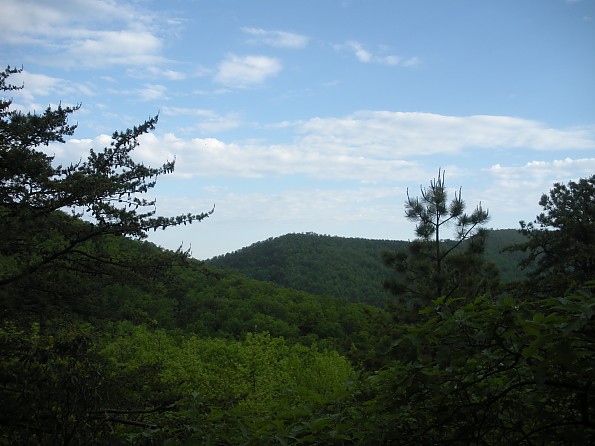 DSCN2740.jpg