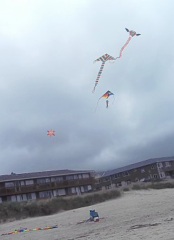 100_0461.jpg