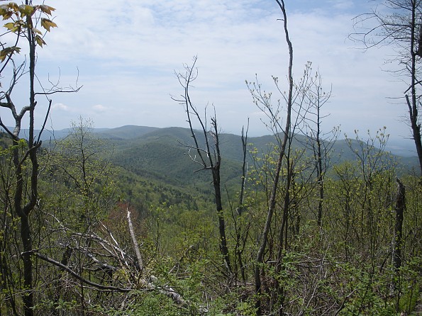 DSCN2750.jpg