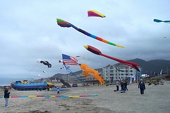 100_0464.jpg