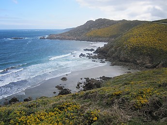 IMG_3522.jpg