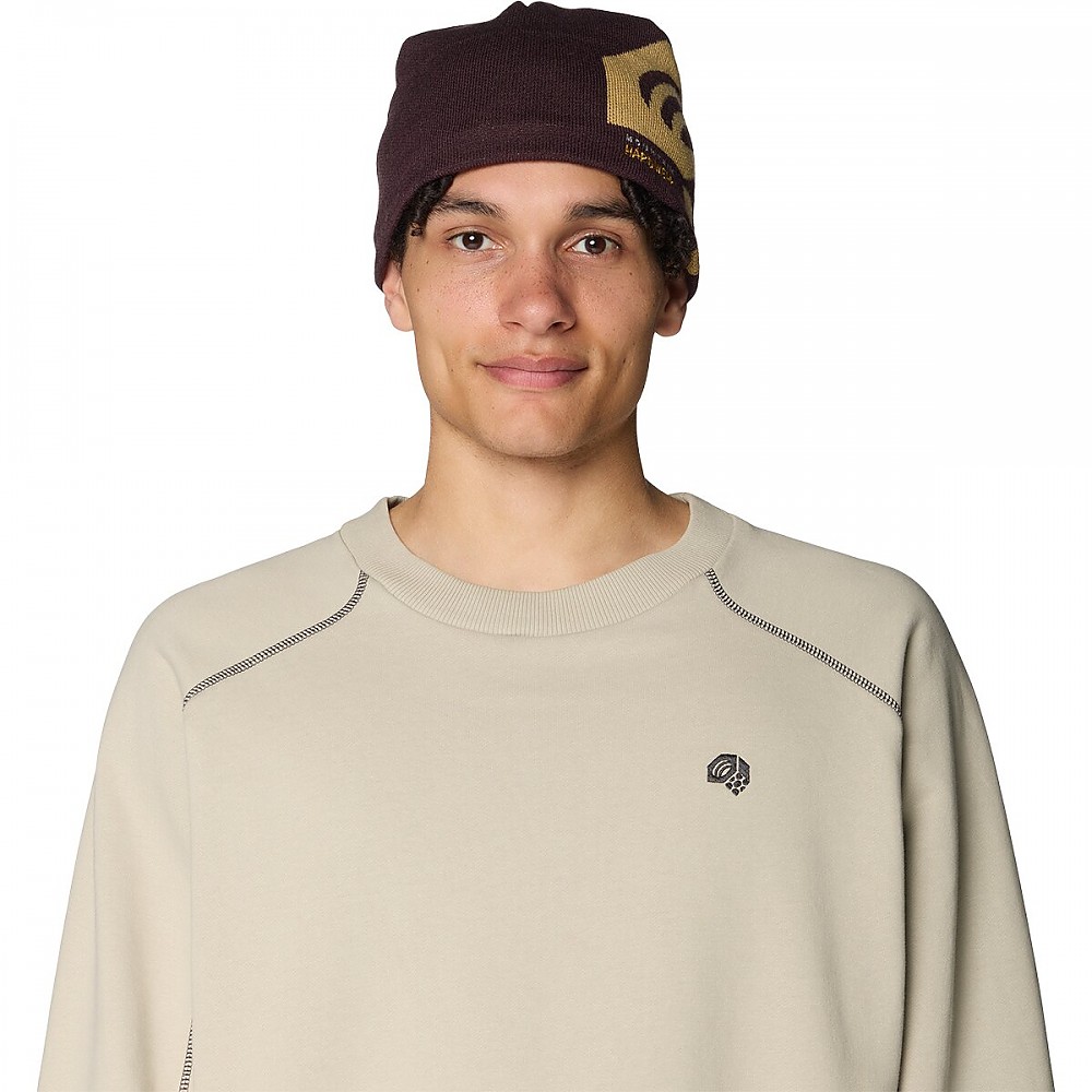 photo: Mountain Hardwear Micro Dome winter hat