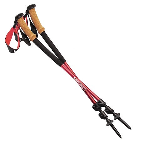 photo: Black Diamond Trail Ergo Cork rigid trekking pole