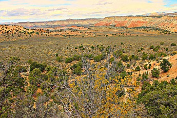 IMG_0944-Fall-comes-to-the-canyons-near-