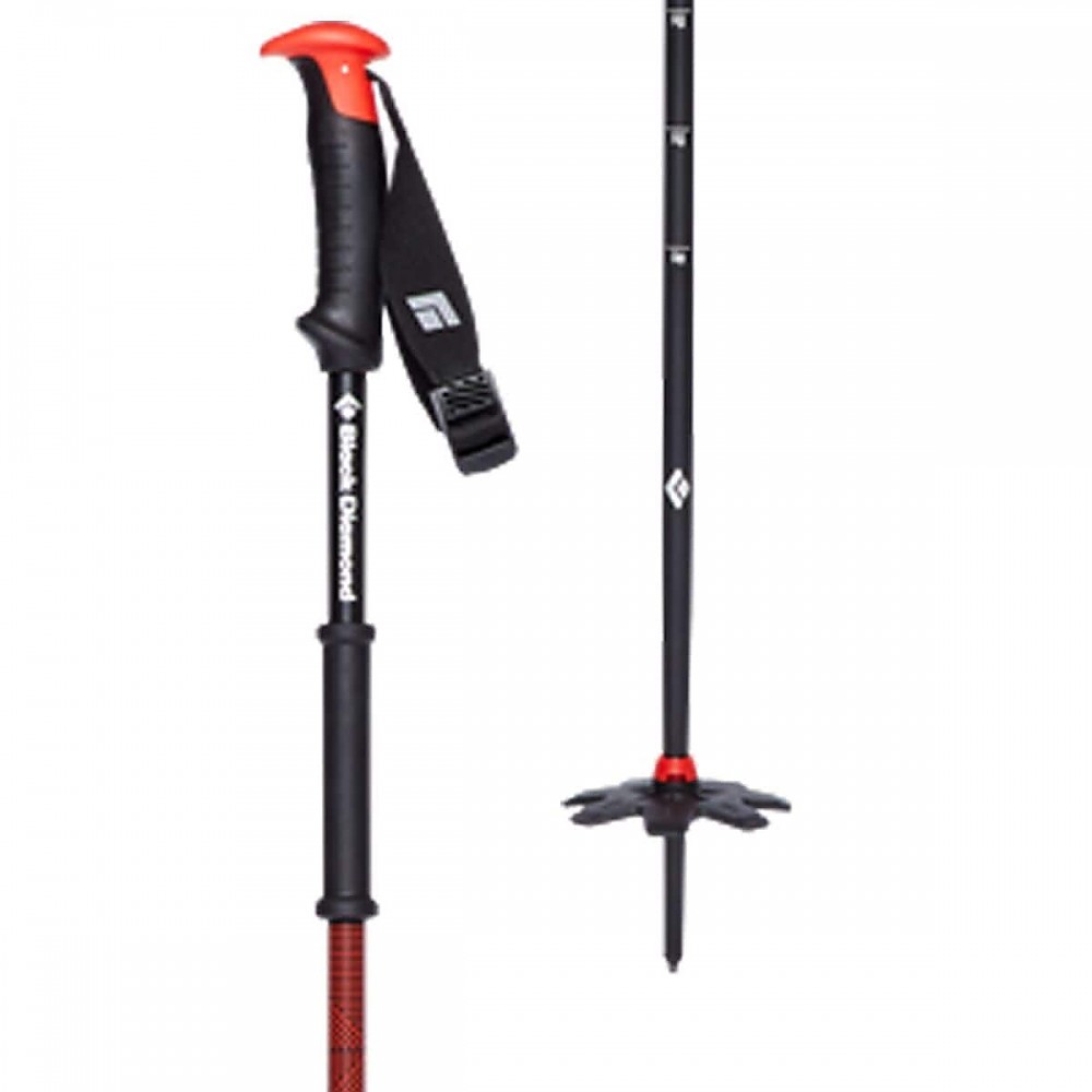 photo: Black Diamond Traverse Pole alpine touring/telemark pole