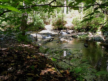 Quantico-Creek.jpg
