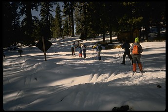 IMG0020.jpg