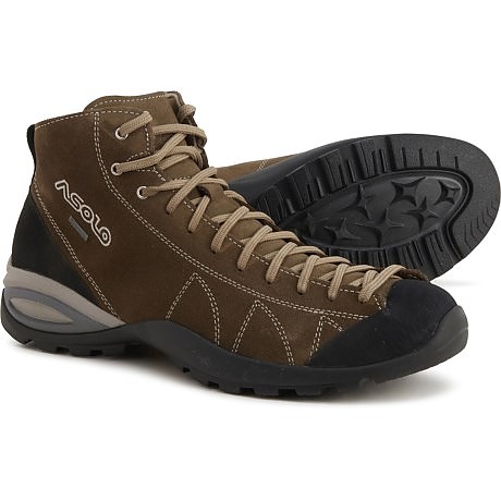 asolo cactus gv review