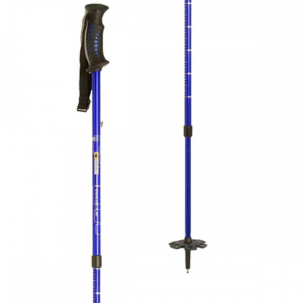 photo: Mountainsmith Pinnacle antishock trekking pole