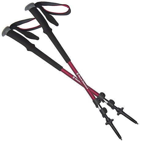 photo: Black Diamond Trail rigid trekking pole