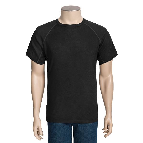 photo: Icebreaker Skin 200 Crew short sleeve performance top