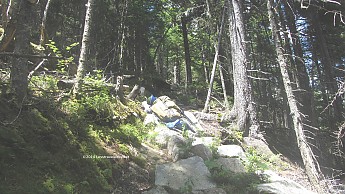 IMG_2906a.jpg