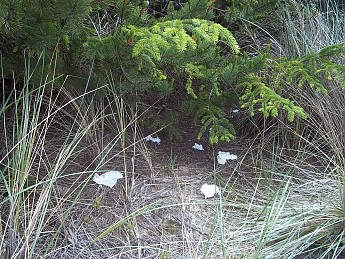 100_0526.jpg