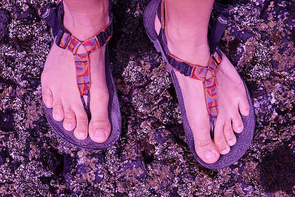 Amazon best sale bedrock sandals