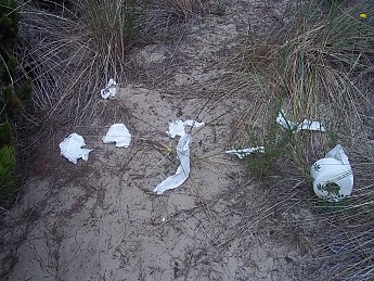 100_0527.jpg