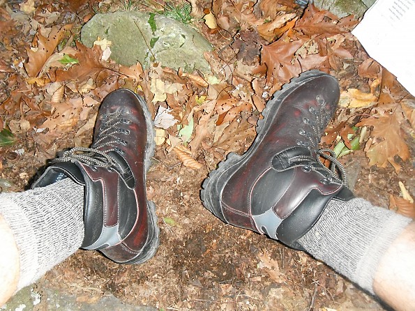 062.jpg
