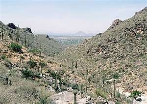 Bear-Canyon-looking-south.jpg