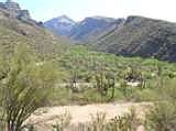 Looking-up-Bear-Canyon.jpg