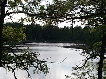 2012-06-02-18-59-45.jpg