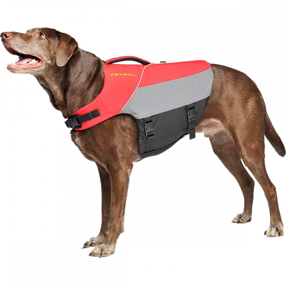 photo: Astral Bird Dog dog life jacket