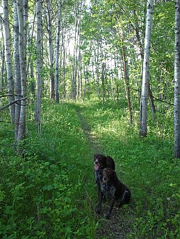 2012-06-02-19-21-10.jpg