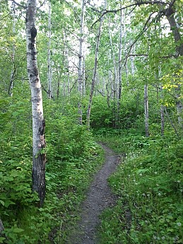 2012-06-02-19-14-53.jpg