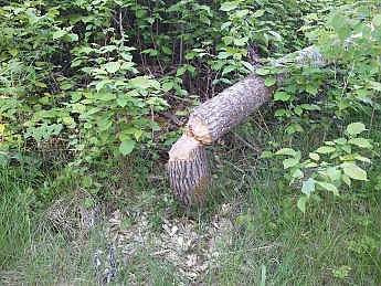 2012-06-02-19-10-37.jpg