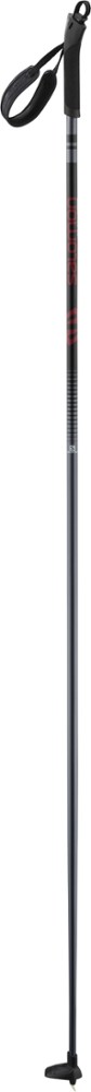 photo: Salomon Escape nordic touring pole