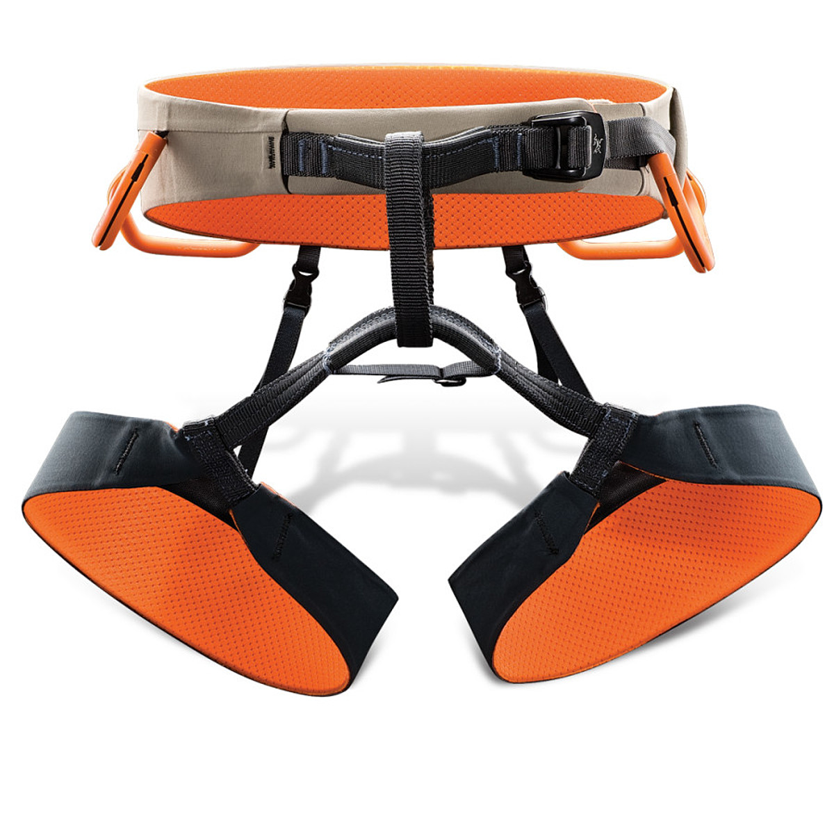 photo: Arc'teryx R-300 sit harness