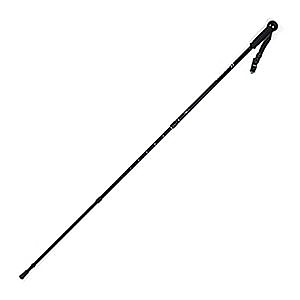 photo:   Lee Valley Telescoping Hiking Stick antishock trekking pole