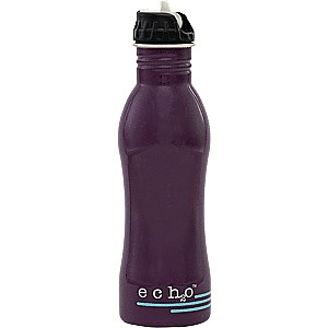 photo: EcoUsable Ech2o Filtered Water Bottle 25 oz bottle/inline water filter