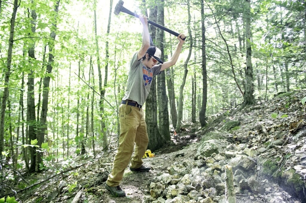 patagonia work pants