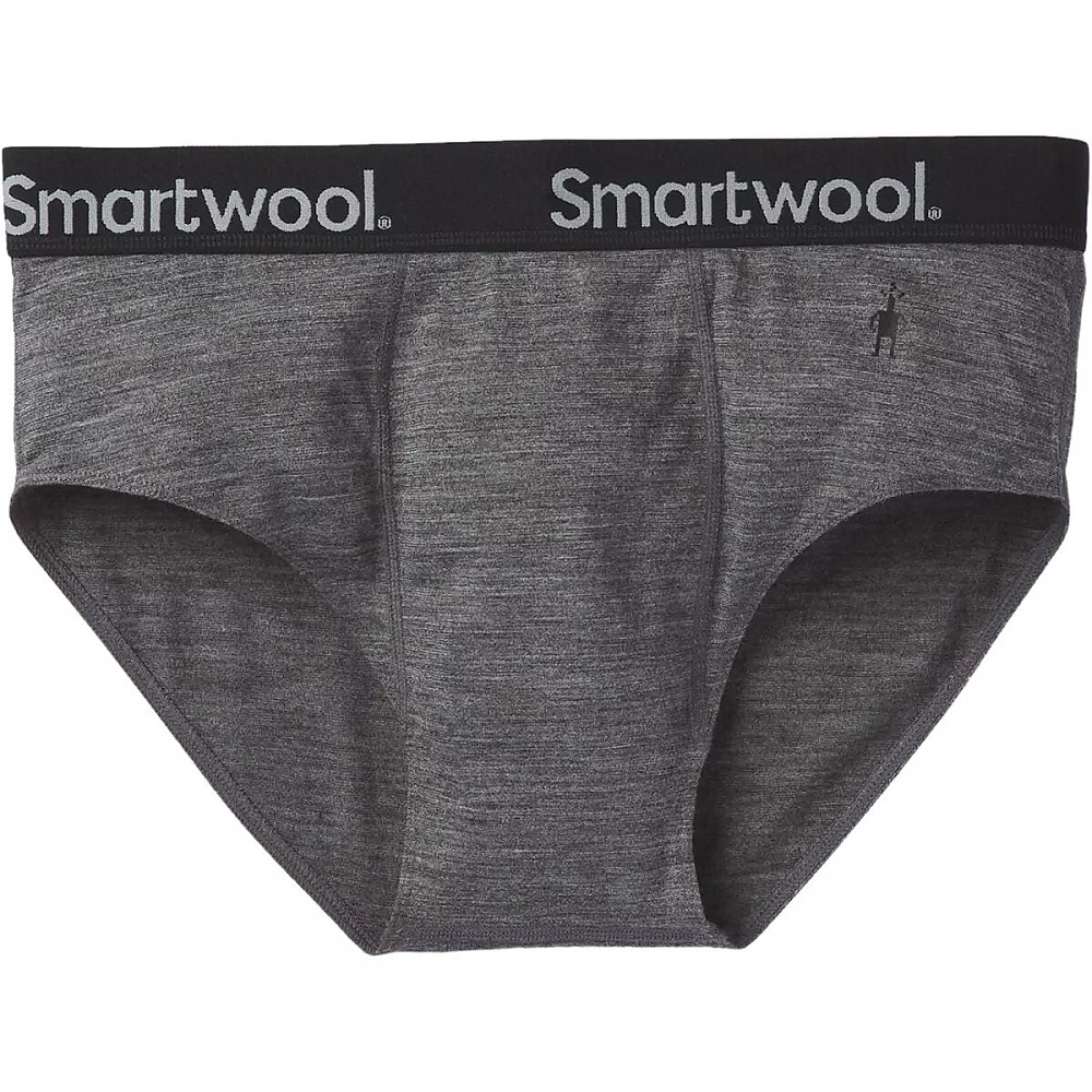 photo: Smartwool Merino Sport 150 Brief boxer/brief/bikini