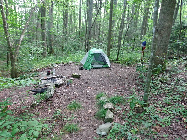 DSC02266.jpg