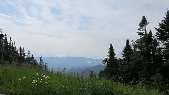 IMG_1902.jpg
