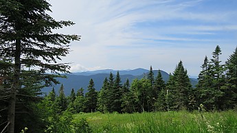 IMG_1910.jpg