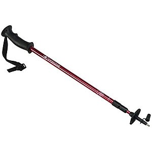 photo: Swiss Gear Hiking Pole hiking staff