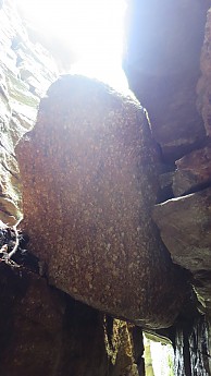 IMG_1596.jpg