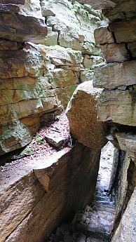 IMG_1593.jpg