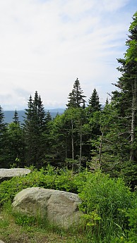 IMG_1932.jpg