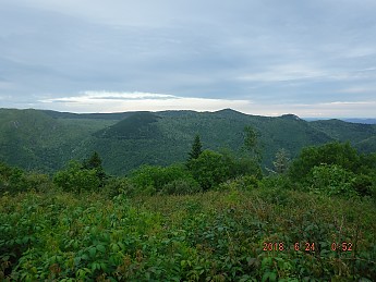 DSCF1571.jpg