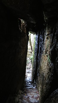 IMG_1595.jpg
