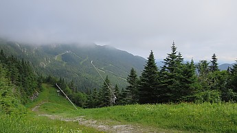 IMG_1935.jpg