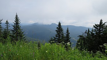 IMG_1940.jpg