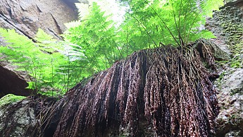 IMG_1606.jpg